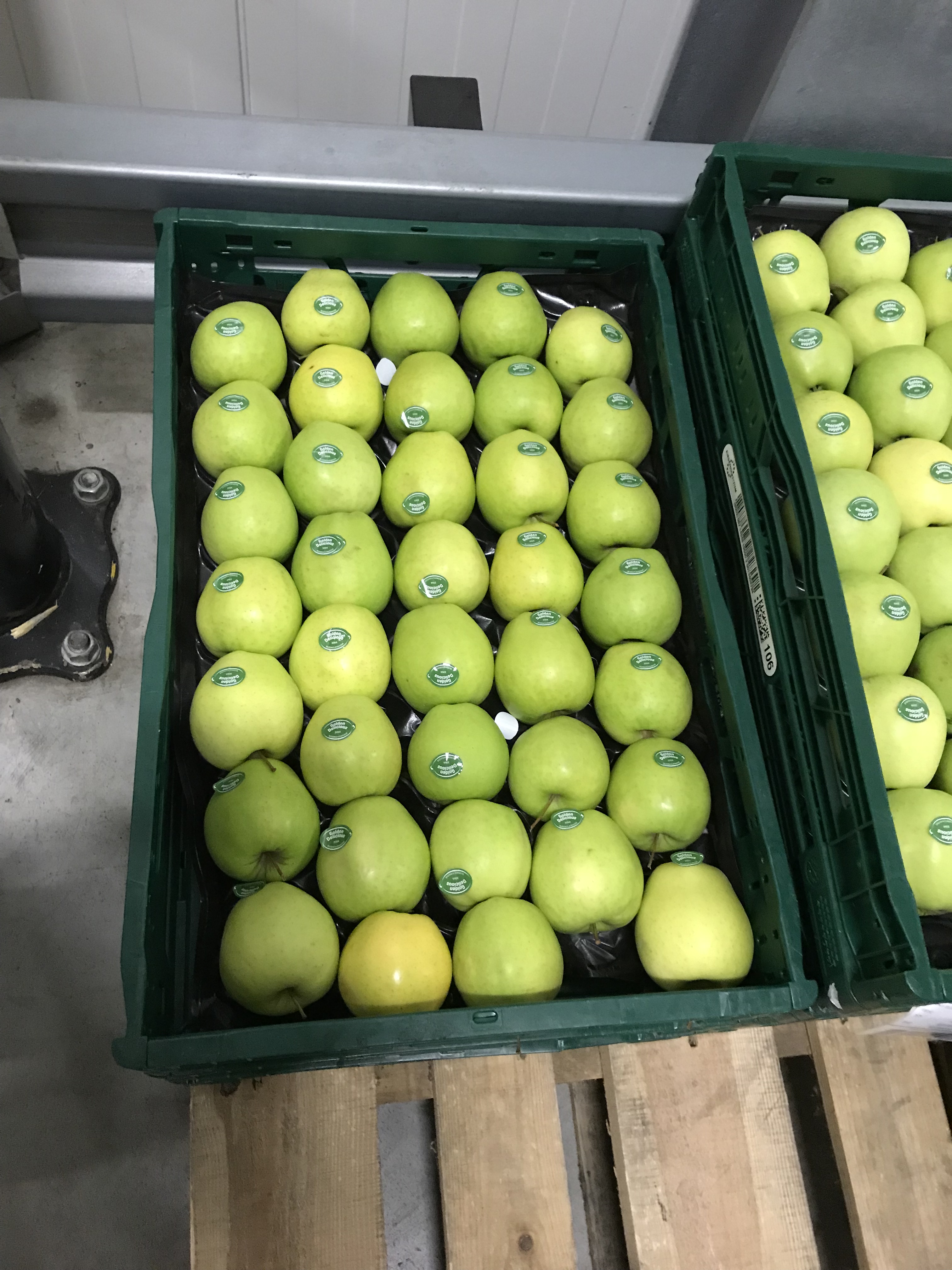 Apple - UNIFRESH LOGISTICS